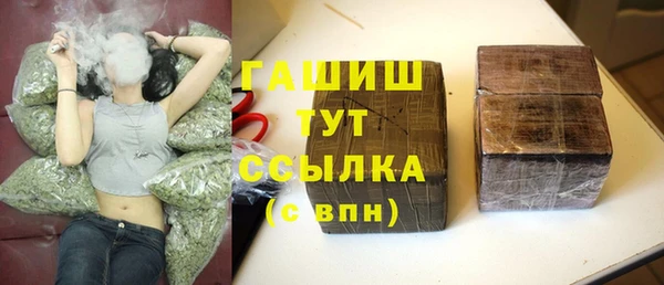 гидра Осташков