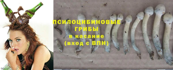 прущие грибы Пестово