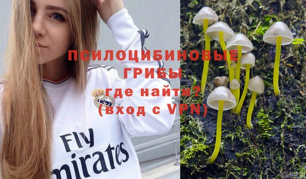 стафф Переславль-Залесский