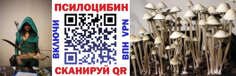 Галлюциногенные грибы прущие грибы Тайга